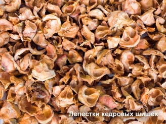 Лепестки кедровых шишек