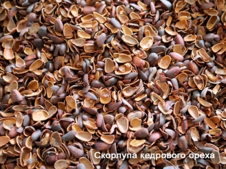 Скорлупа кедрового ореха