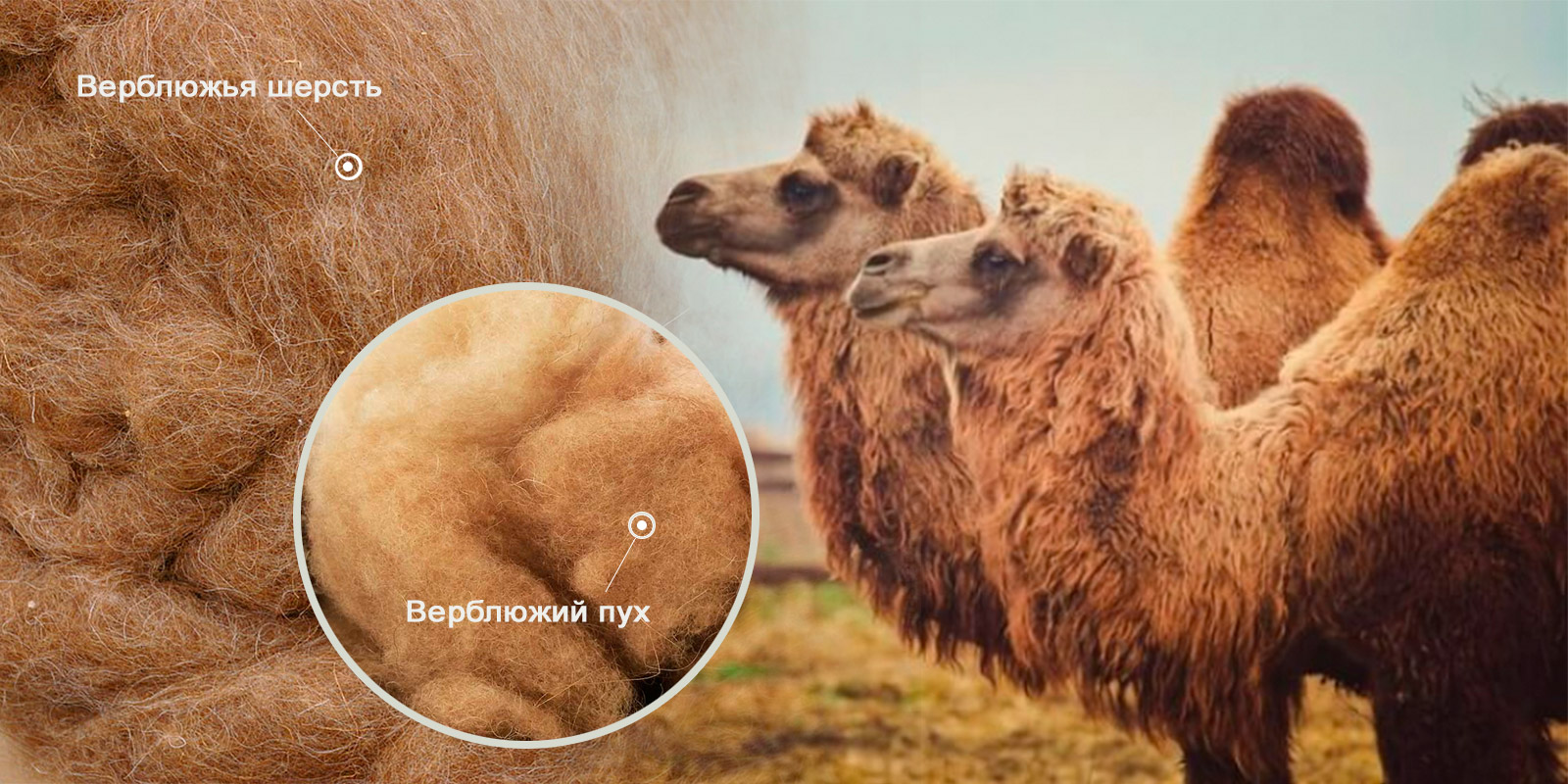 подушки из верблюжьей шерсти